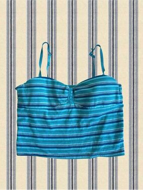 lei Blue Teal Striped Crop Tank Top